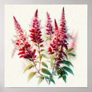 Red Astilbe Blumen Art Print Poster
