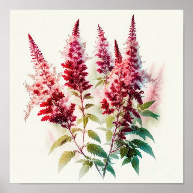 Red Astilbe Blumen Art Print Poster (Vorne)