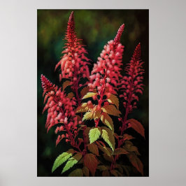Red Astilbe Blumen Art Print Poster