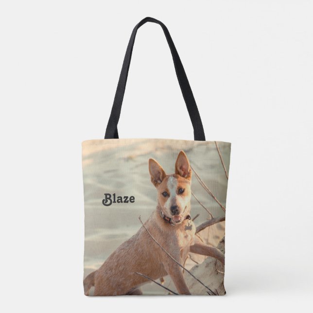 Red Australian Cattle Dog - Heeler - im Schnee (Rückseite)