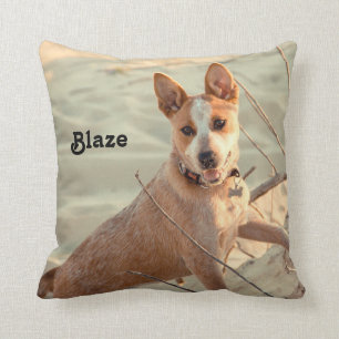 Red Australian Cattle Dog - Heeler - im Schnee Kissen