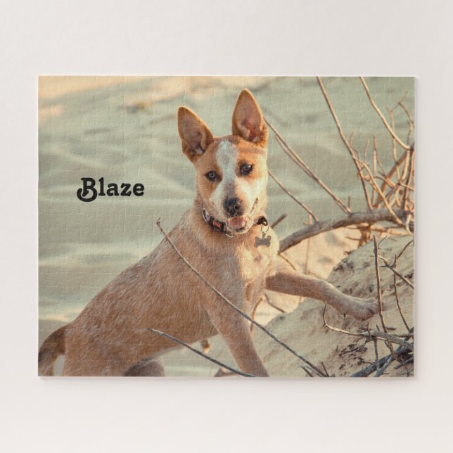 Red Australian Cattle Dog - Heeler - im Schnee Puzzle (Horizontal)