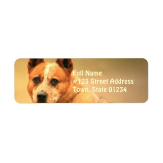 Red Australian Cattle Hunde Return Address Label