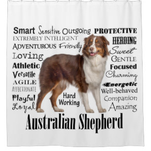 Red Australian Shepherd Traits Duschvorhang