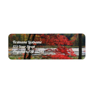 Red Autumn Foliage Marsh Orton Effect Address