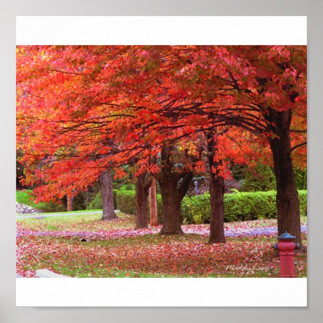 Red Autumn Glory by MiySpirit Poster (Vorne)