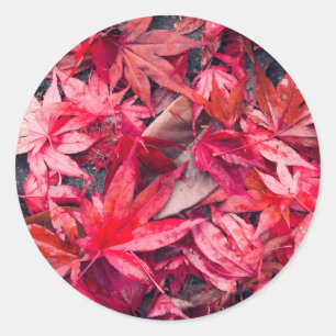 Red Autumn Leaves Runder Aufkleber