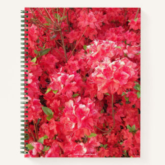 Red Azalea Notebook Notizbuch