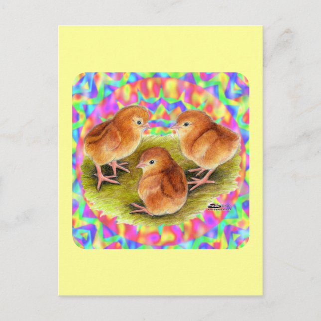 Red Baby Chicks Postkarte (Vorderseite)