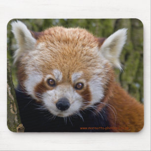 Red Bandit Mousemat Mousepad