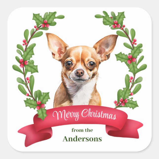 Red Banner Holly Brown Chihuahua Dog Christmas Quadratischer Aufkleber (Vorderseite)