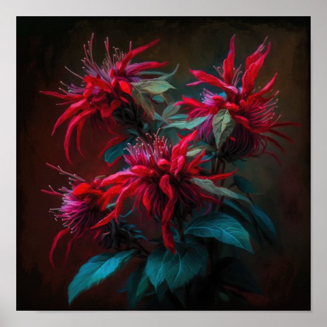 Red Bee Balm Blume Art Print Poster (Vorne)