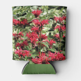 Red Bee Balm & Halo Dogwood Dosenkühler