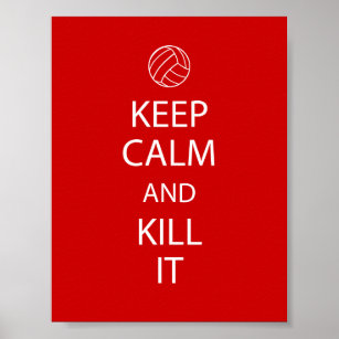 Red Behalt Calm Volleyball Poster