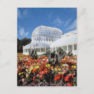 Red Belfast, Palm House, Botanischer Garten, Irlan Postkarte