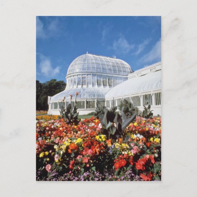 Red Belfast, Palm House, Botanischer Garten, Irlan Postkarte (Vorderseite)