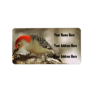 Red Bellied Woodpecker Adressaufkleber