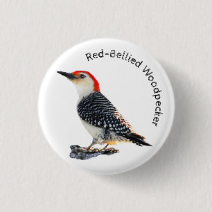 Red-Bellied Woodpecker Button