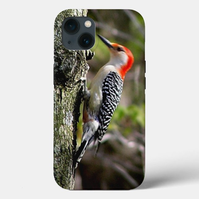 Red Bellied Woodpecker Case-Mate iPhone Hülle (Rückseite)