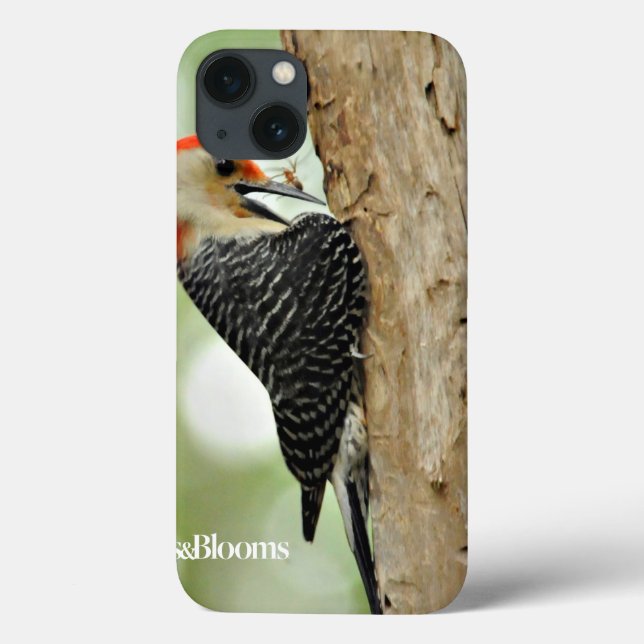 Red-Bellied Woodpecker Case-Mate iPhone Hülle (Rückseite)