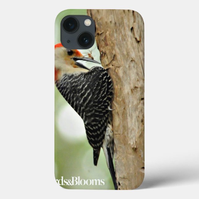 Red-Bellied Woodpecker Case-Mate iPhone Hülle (Rückseite)