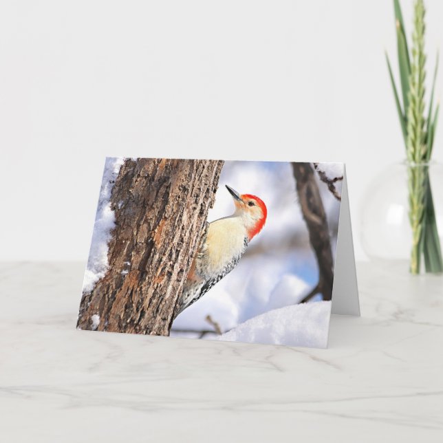 Red-bellied Woodpecker Christmas Card Feiertagskarte (Vorderseite)