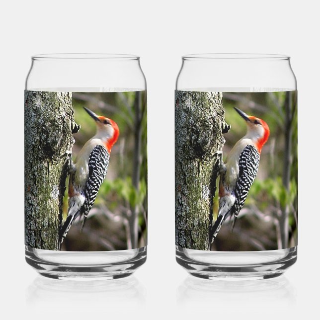 Red Bellied Woodpecker Dosenglas (Rückseite)