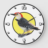 Red-Bellied Woodpecker