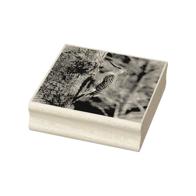 Red Bellied Woodpecker Gummistempel (Stempel)