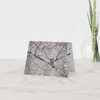 Red Bellied Woodpecker Notecard - Leere Innenseite Karte
