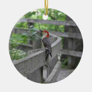 Red-bellied woodpecker ornament