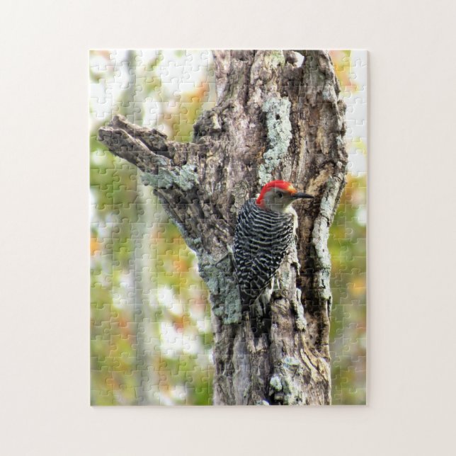 Red Bellied Woodpecker Puzzle (Vertikal)