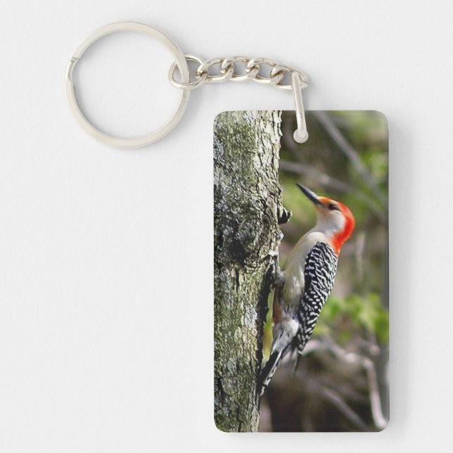 Red Bellied Woodpecker Schlüsselanhänger (Vorderseite)