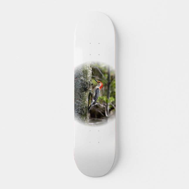 Red Bellied Woodpecker Skateboard (Vorne)