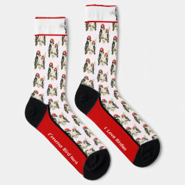 Red Bellied Woodpecker Socken