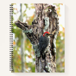 Red-Bellied Woodpecker Spiral Notebook Notizbuch