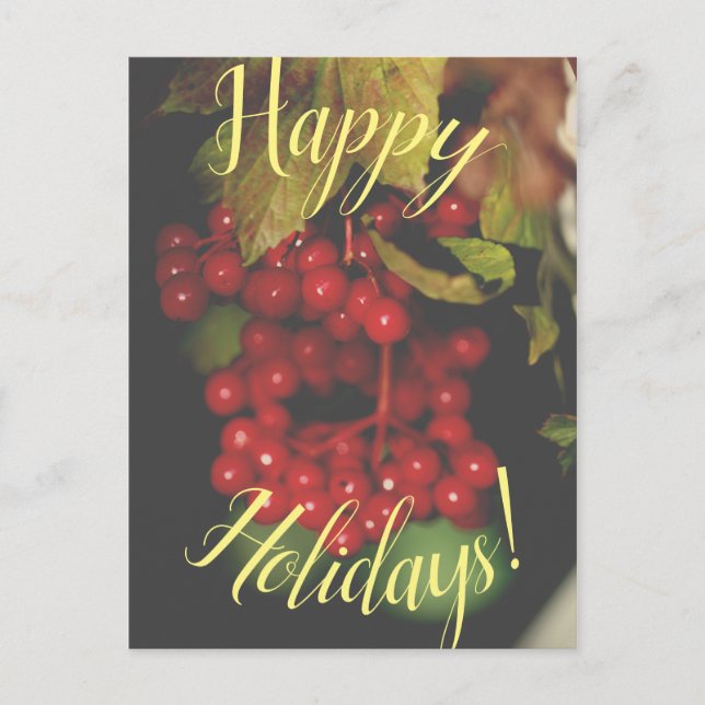 Red Berries Happy Holidays Postcard Feiertagspostkarte (Vorderseite)