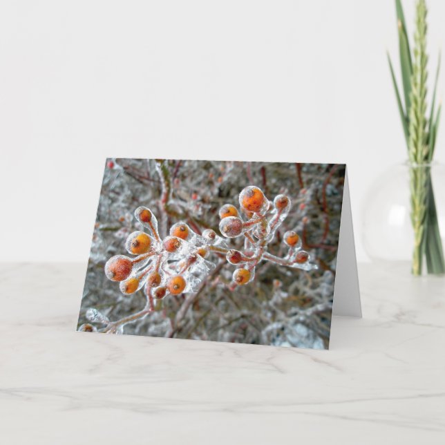 Red Berries Note Card eisbedeckt Feiertagskarte (Vorderseite)