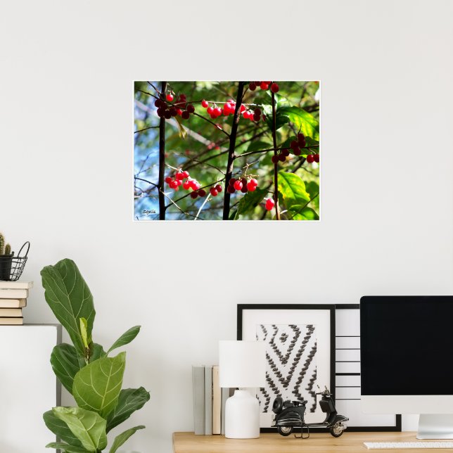 Red Berries on Tree Foto Print Poster (Heimbüro)