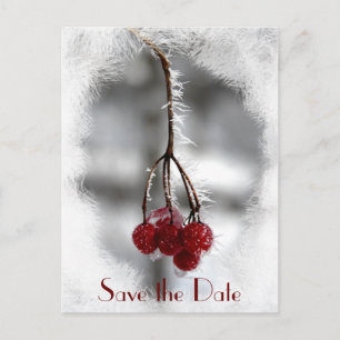 Red Berries und Frost Winter Wedding Save the Date Ankündigungspostkarte