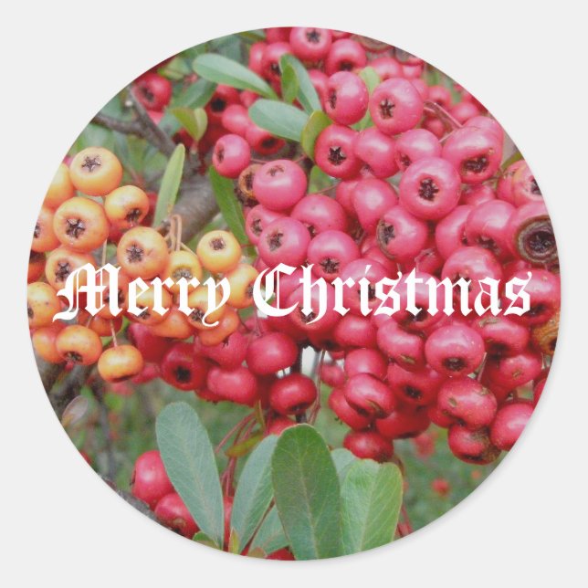 Red Berries Weihnachtskleber Runder Aufkleber (Vorderseite)