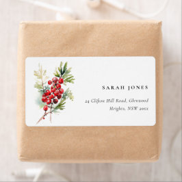 Red Berry Fir Winter Christmas Foliage Adresse