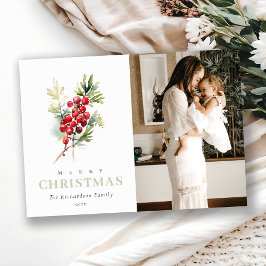 Red Berry Fir Winter Weihnachten Foto