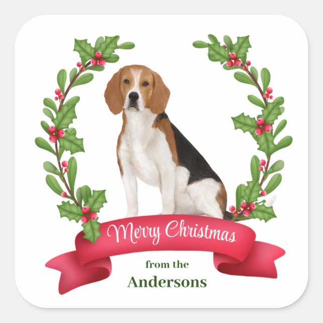 Red Berry Holly Banner Beagle Weihnachten Quadratischer Aufkleber (Vorderseite)