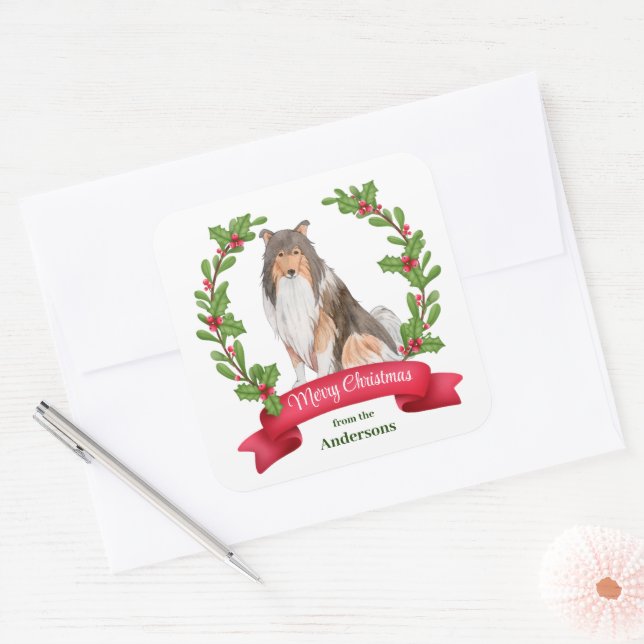 Red Berry Holly Banner Collie Dog Weihnachten Quadratischer Aufkleber (Umschlag)