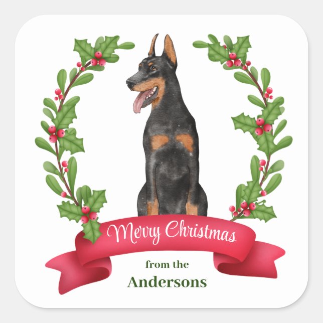 Red Berry Holly Banner Doberman Pinscher Weihnacht Quadratischer Aufkleber (Vorderseite)