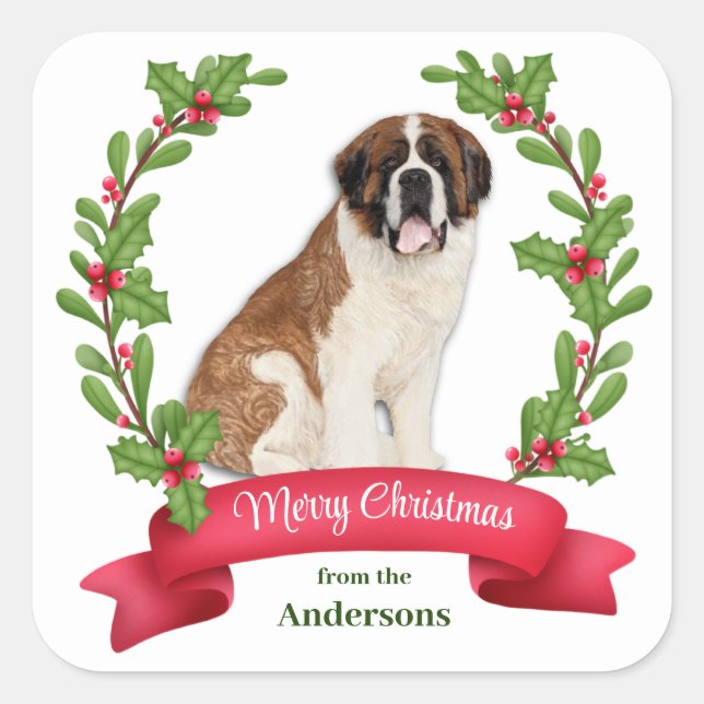 Red Berry Holly Banner St Bernard Dog Weihnachten Quadratischer Aufkleber (Vorderseite)