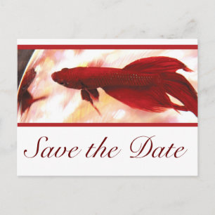 Red Betta Fish Save the Date Ankündigungspostkarte