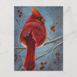 Red Bird Kardinal - Berries Postkarte
