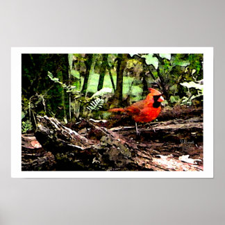 RED BIRD POSTER